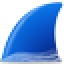 Wireshark